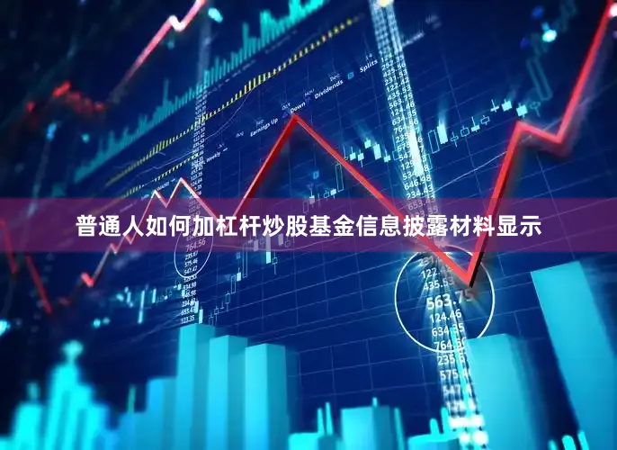 普通人如何加杠杆炒股基金信息披露材料显示