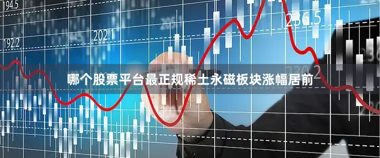 哪个股票平台最正规稀土永磁板块涨幅居前