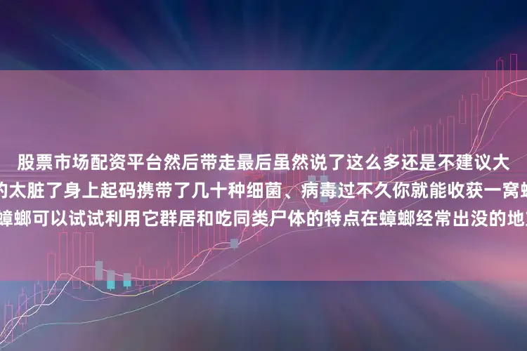 股票市场配资平台然后带走最后虽然说了这么多还是不建议大家直接用脚踩死蟑螂蟑螂真的太脏了身上起码携带了几十种细菌、病毒过不久你就能收获一窝蟑螂真想除蟑螂可以试试利用它群居和吃同类尸体的特点在蟑螂经常出没的地方放上蟑螂药只要一只吃了就能一窝打尽了！