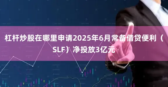 杠杆炒股在哪里申请2025年6月常备借贷便利（SLF）净投放3亿元