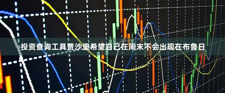 投资查询工具贾沙里希望自己在周末不会出现在布鲁日