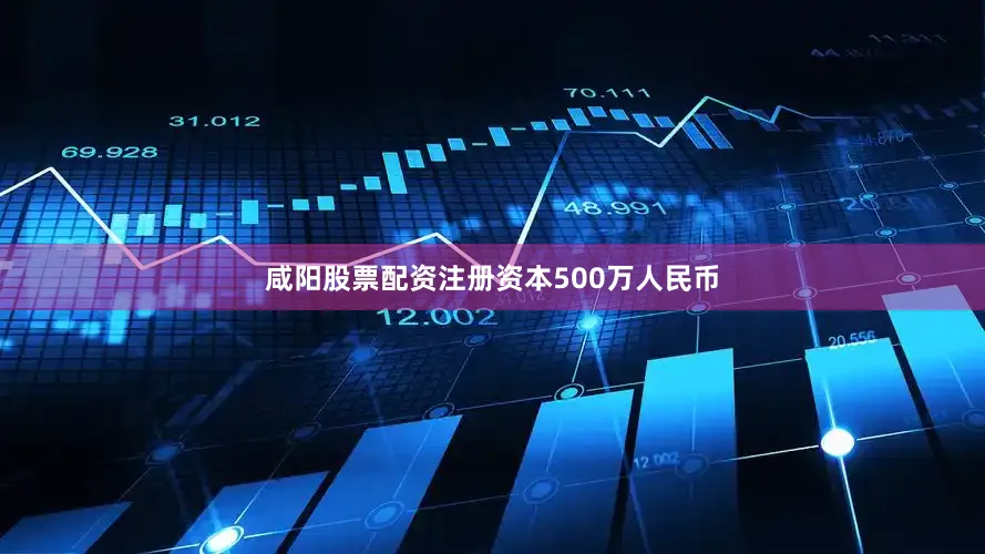 咸阳股票配资注册资本500万人民币