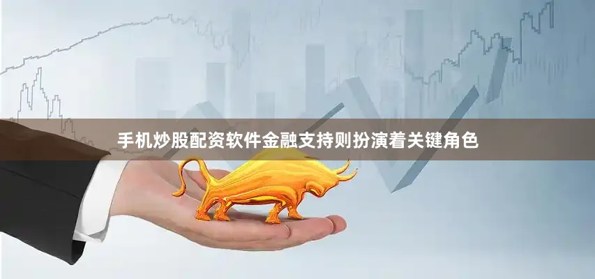手机炒股配资软件金融支持则扮演着关键角色