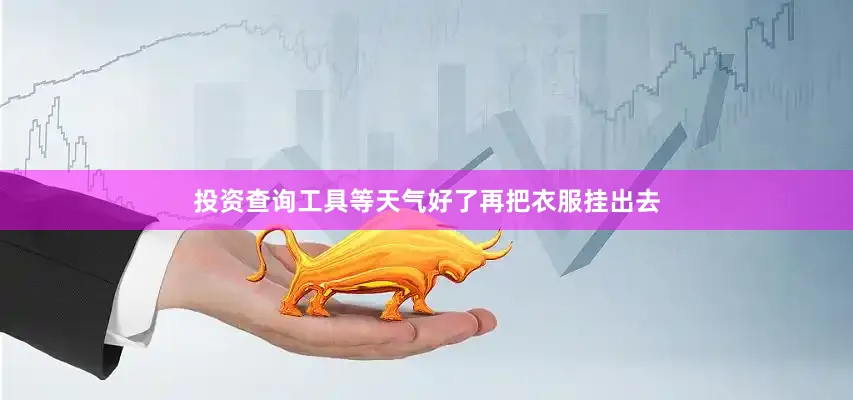 投资查询工具等天气好了再把衣服挂出去