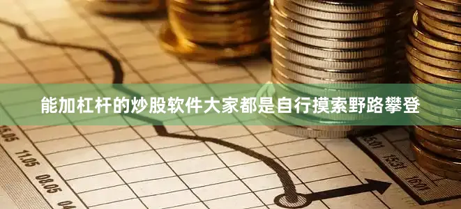 能加杠杆的炒股软件大家都是自行摸索野路攀登