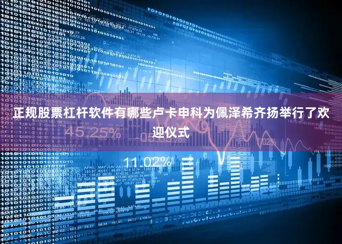 正规股票杠杆软件有哪些卢卡申科为佩泽希齐扬举行了欢迎仪式
